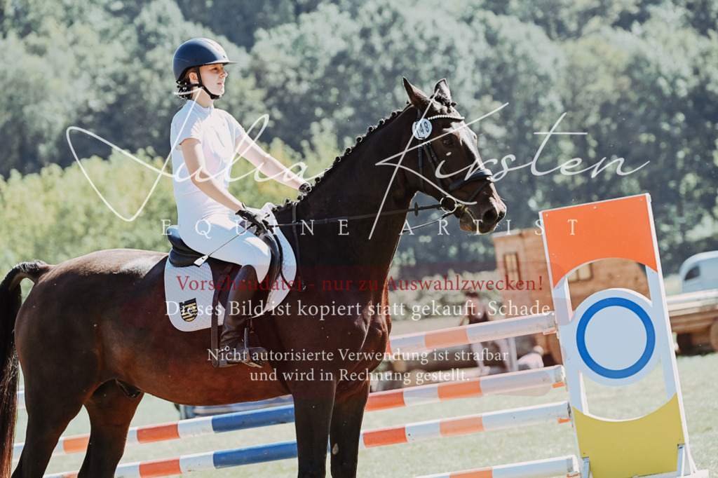 DSC_6580 | Pferde- und Turnierfotografie in Westsachsen. Pferdeportraits, Auftragszeichnungen und intuitive Kunst.