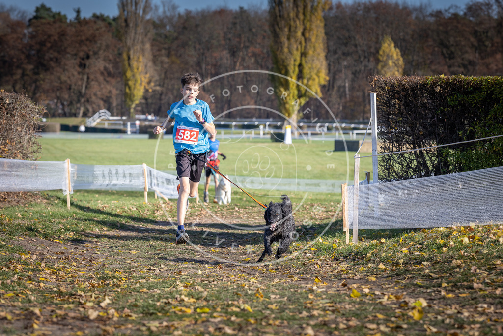 CaniXpix_DV3A9077 | Hundefotografie, Tierfotograf, Pfotenfotografie, Fotoshooting Hund, Hunde Portrait, Hundesport, Hundeportraits, Heideshooting, Hunde, Sportfotograf, Hundefotograf, Turnierhundsport, THS,  - Realisiert mit Pictrs.com