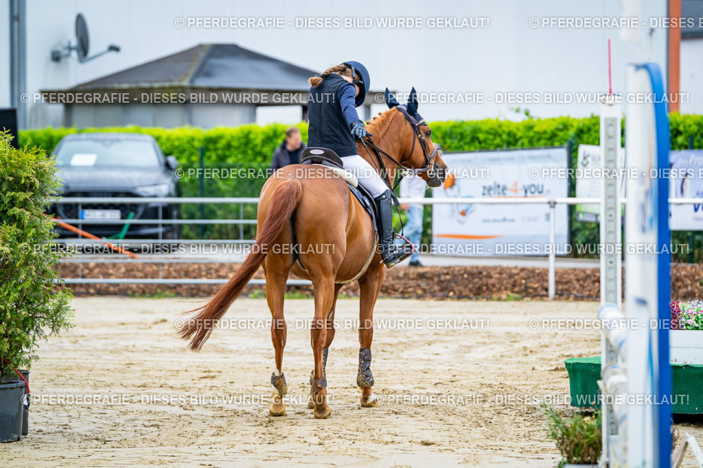 DSC01802 | Pferdegrafie