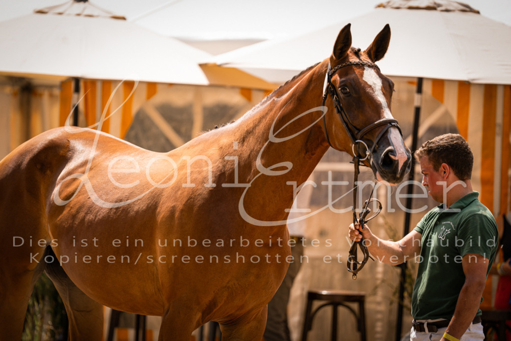 1.Fr00160 | Leoni Ertmer Photography - Realisiert mit Pictrs.com