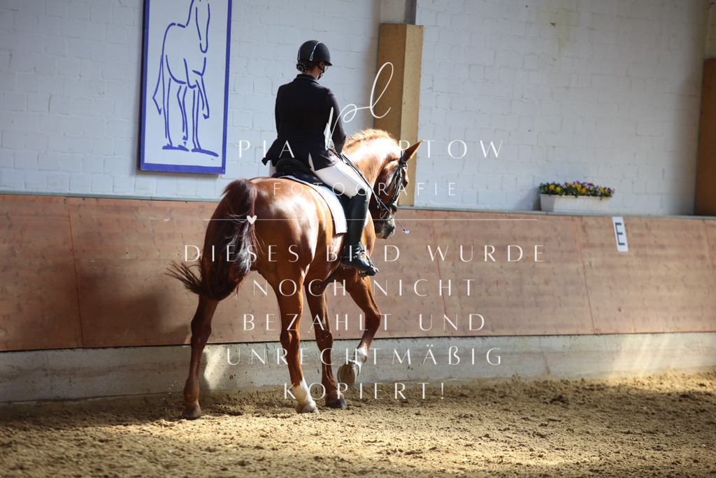 IMGT6956 | pl-fotografie