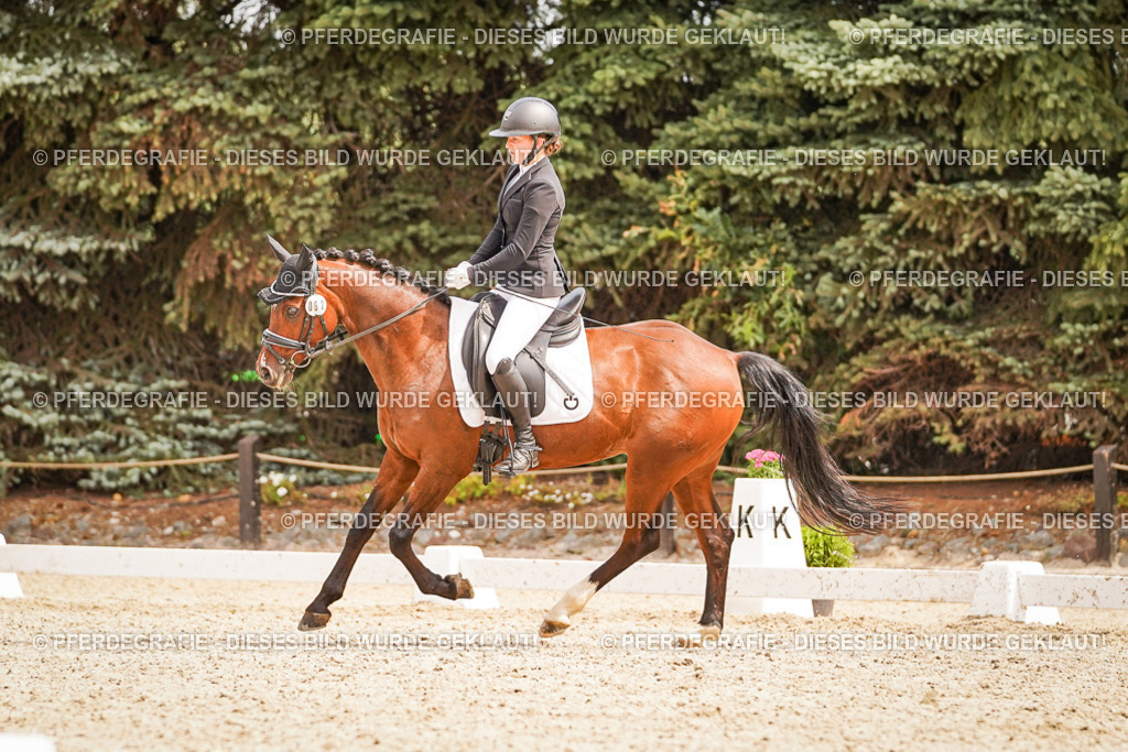 DSC01957 | Pferdegrafie