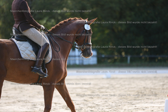 HG9A7739 | laurarinckfotografie - Realisiert mit Pictrs.com