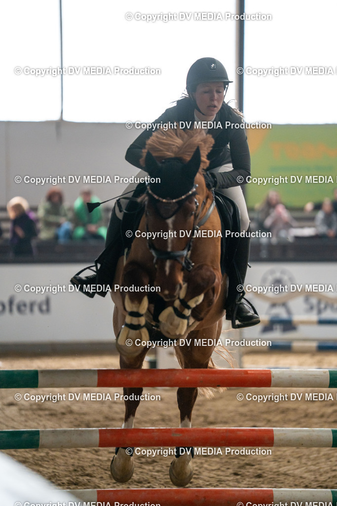 Kranichstein Tag 2-620 | dv-media-shop - Realisiert mit Pictrs.com