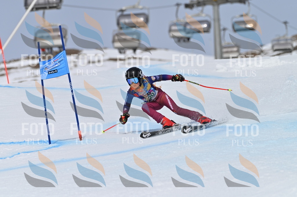 BGV_4307 | holidayphoto