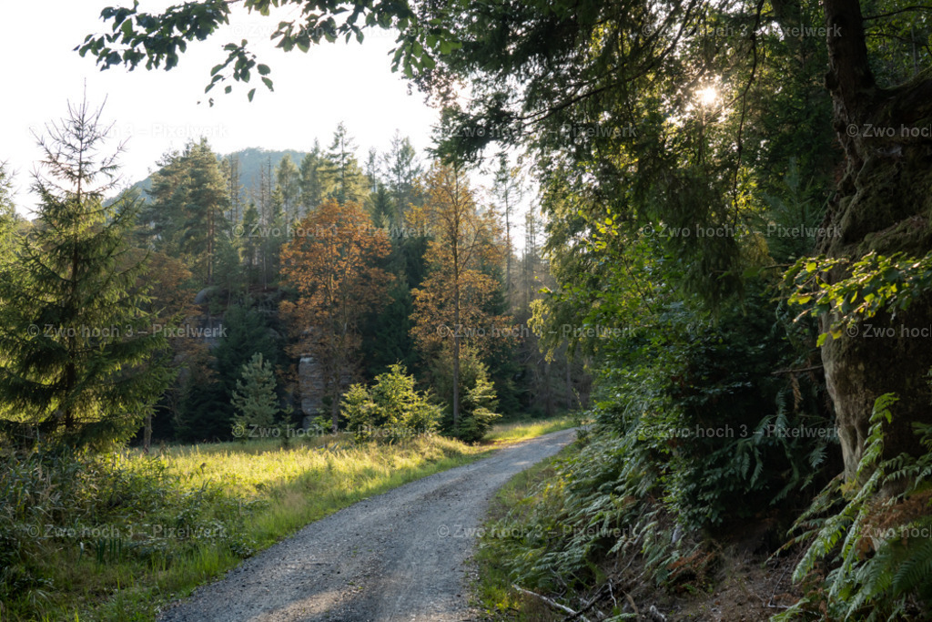 Zeughausstrasse_Quenenwiesen_Kleiner_Winterberg_Sonne | 2022-08-30_Waldbrandgebiete_1 - Realisiert mit Pictrs.com