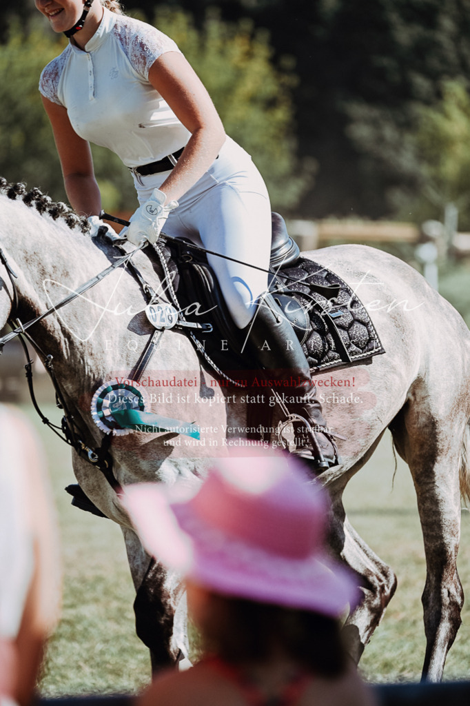 DSC_7004 | Pferde- und Turnierfotografie in Westsachsen. Pferdeportraits, Auftragszeichnungen und intuitive Kunst.