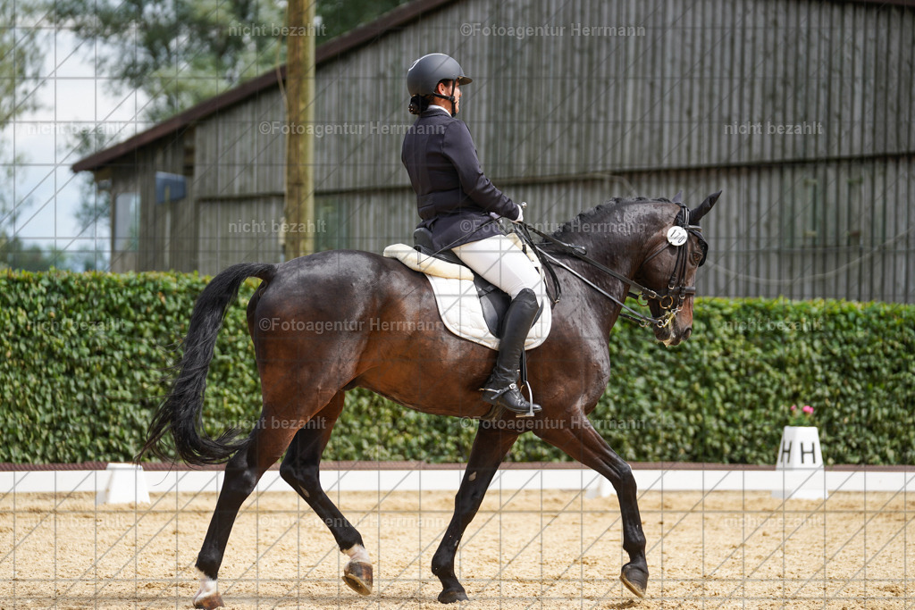 20240630-FAH02242 | Turnierbilder Schwabmünchen, Dressurbilder, Springreitturnier, Reitsportbilder, Turnierfotografen Bayern, Turnierfotograf