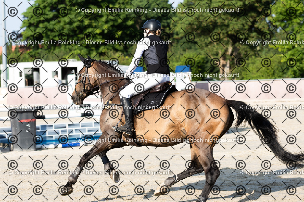 CL5A1351 | Emilia Reinking Fotografie - Realisiert mit Pictrs.com