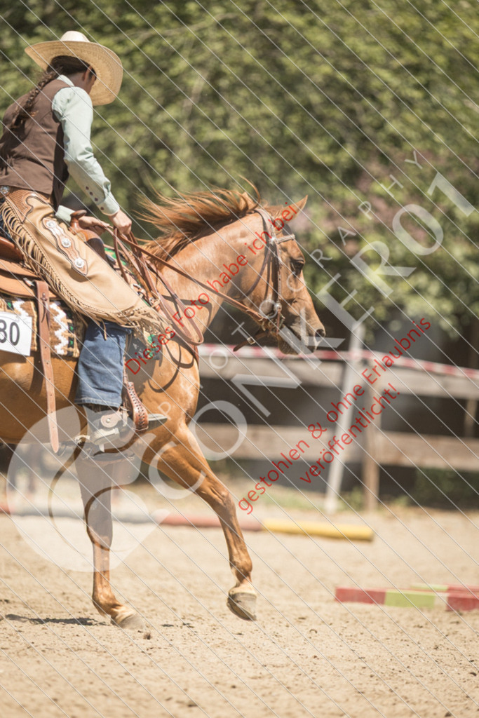 IMG_9949 | Sport-, Event- und Tierfotos in Profiqualität. Einfach auswählen, bestellen und herunterladen. Dein Moment – perfekt festgehalten.