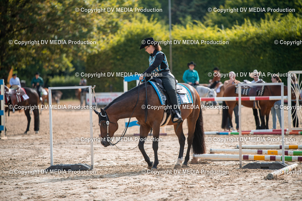 ZS3_9238 | dv-media-shop - Realisiert mit Pictrs.com