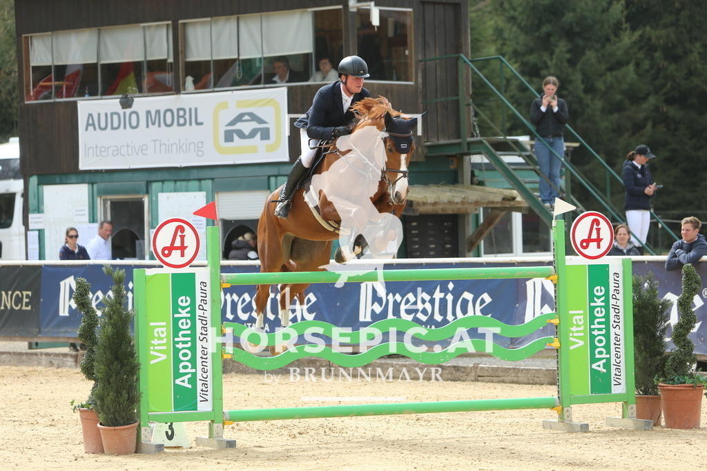 DL2Q2482 | Willkommen bei Brunnmayr - Design & Fotografie – Ihrem Spezialisten für Reitturniere und Pferdeveranstaltungen in Oberösterreich, Salzburg und Bayern! Seit über 17 Jahren sind wir leidenschaftlich dabei.