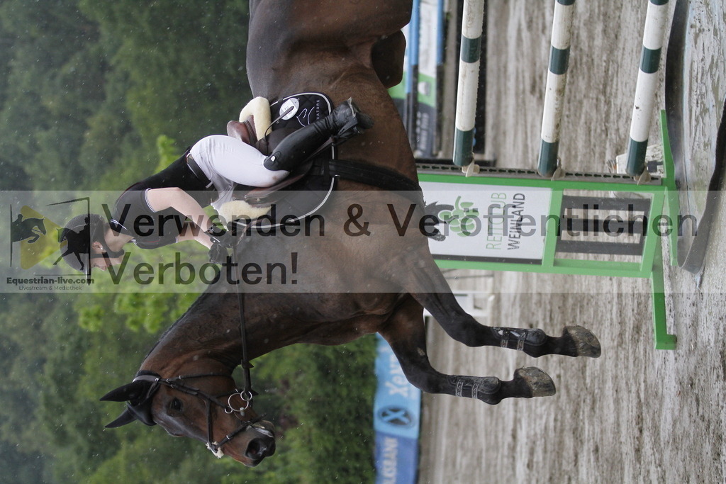 _MG_2647 | equestrian-live-com