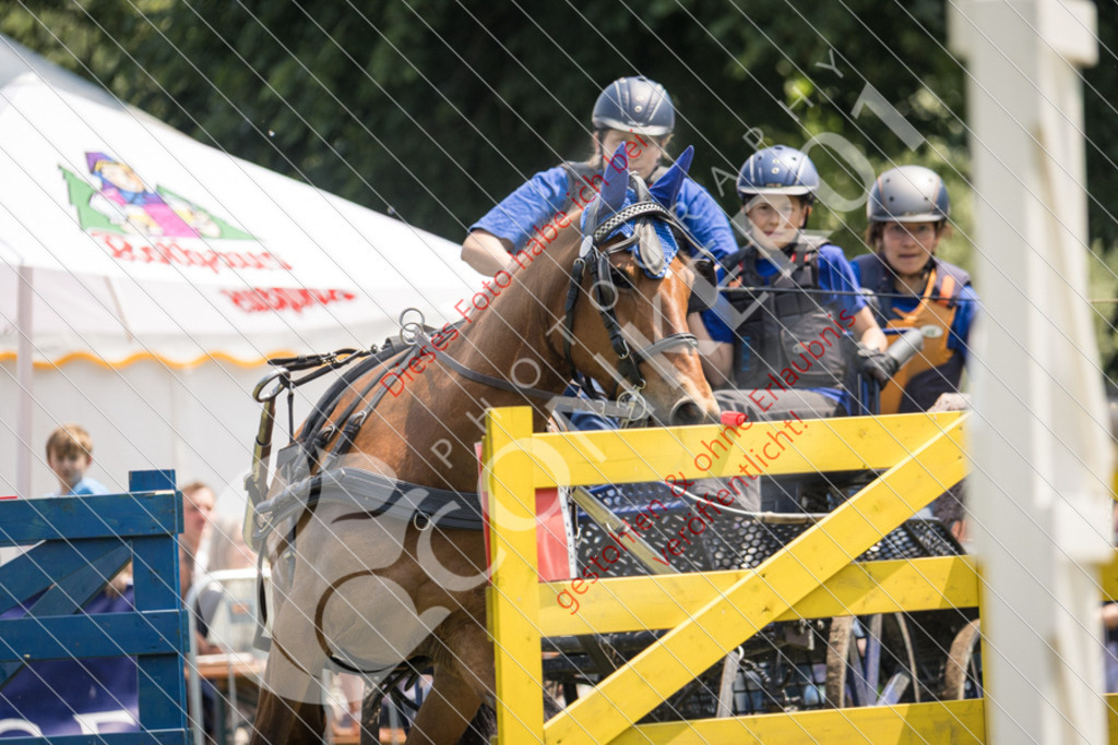 IMG_8655 | Sport-, Event- und Tierfotos in Profiqualität. Einfach auswählen, bestellen und herunterladen. Dein Moment – perfekt festgehalten.