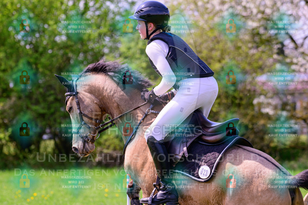 18042026-Gernlinden-01-1-0433 | Fokus Hufschlag Fotografie - Realisiert mit Pictrs.com