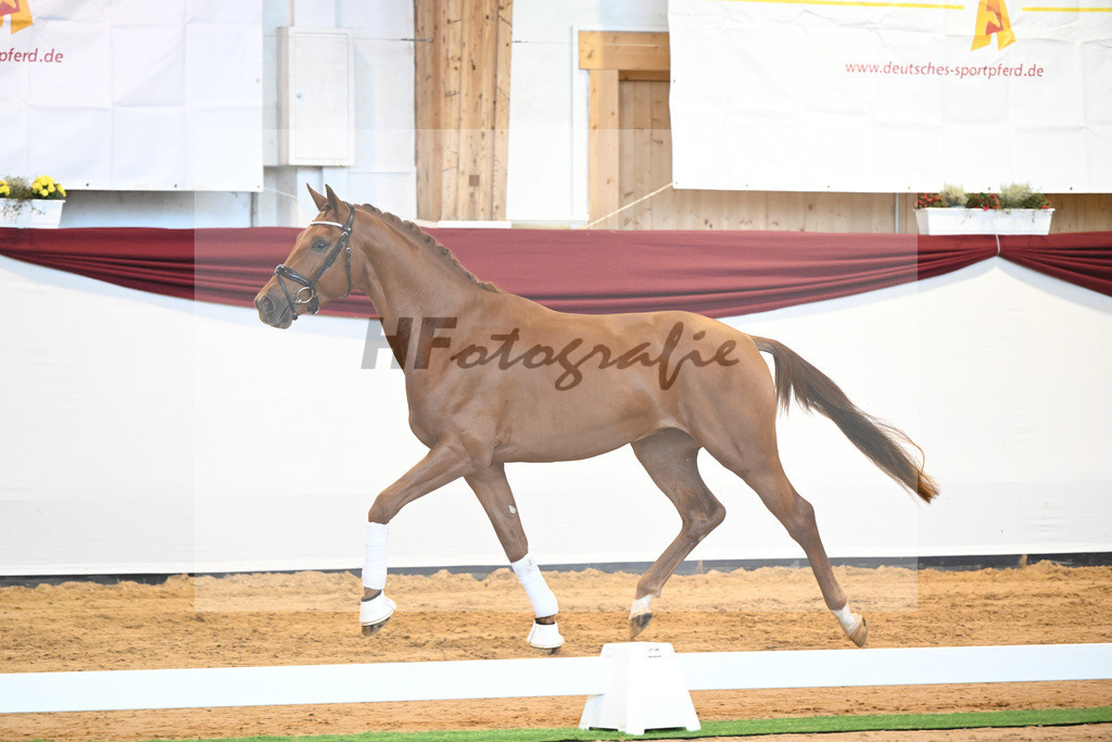 Kat-Nr. 28 v. Erdinger_Schuhmacher_66220803 | hf-fotografie - Realisiert mit Pictrs.com