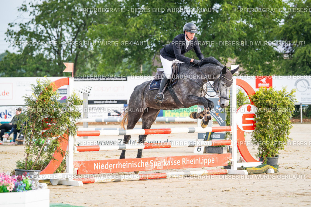 DSC07612 | Pferdegrafie