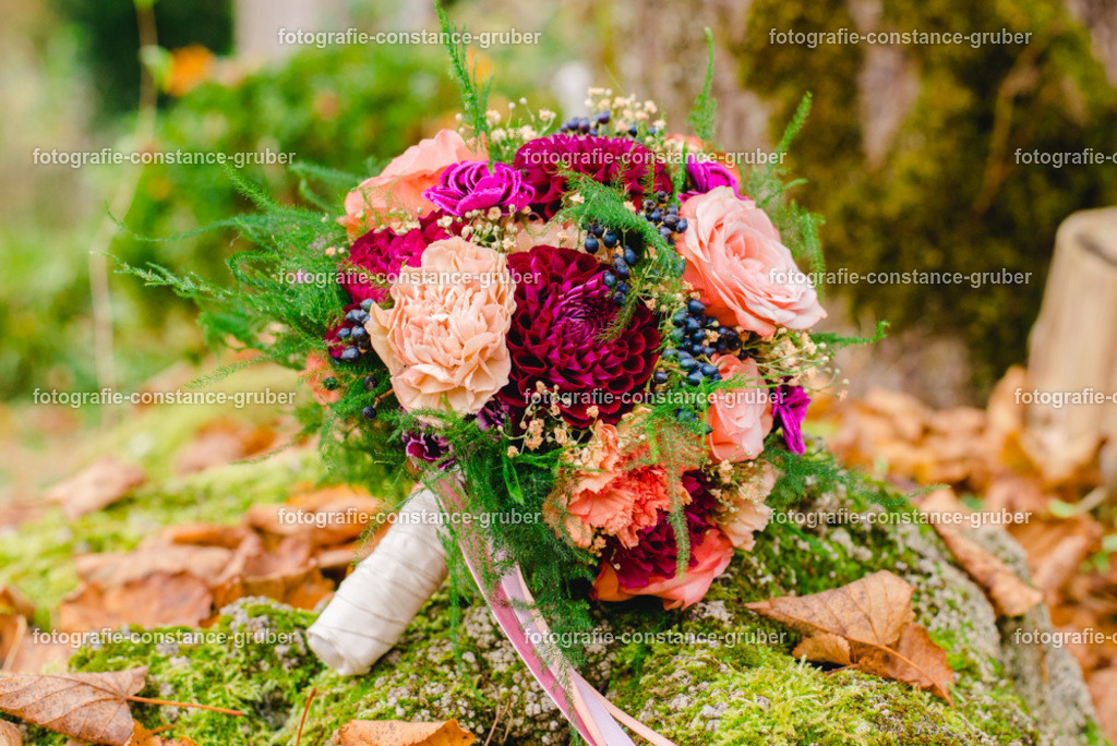 1009 | Fotografie Constance Gruber - Realisiert mit Pictrs.com