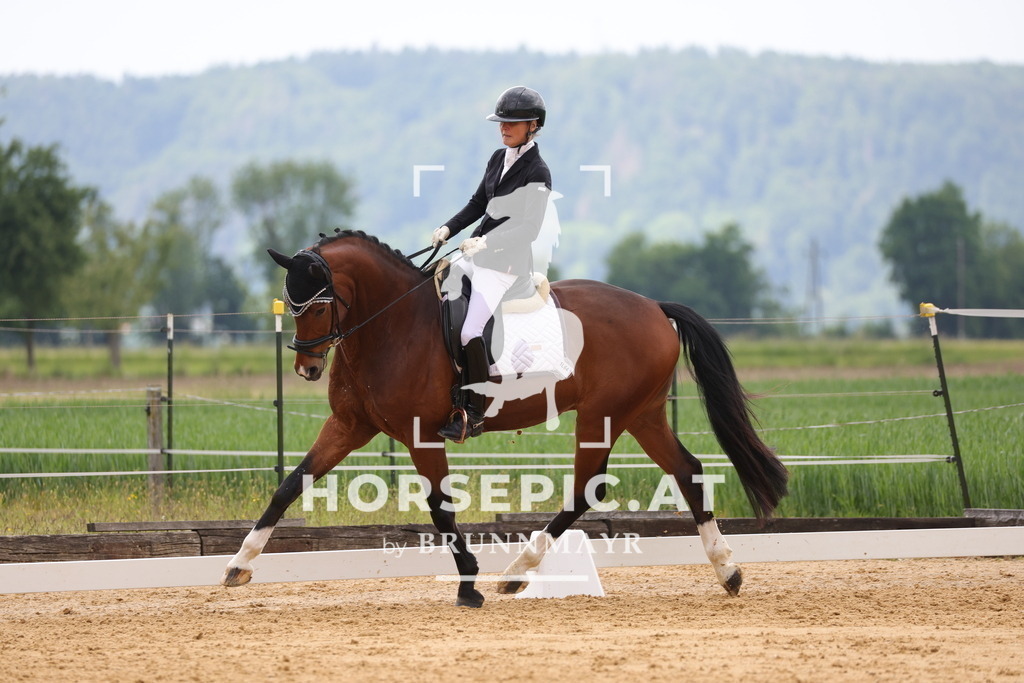 0P6A4395 | Willkommen bei Brunnmayr - Design & Fotografie – Ihrem Spezialisten für Reitturniere und Pferdeveranstaltungen in Oberösterreich, Salzburg und Bayern! Seit über 17 Jahren sind wir leidenschaftlich dabei.