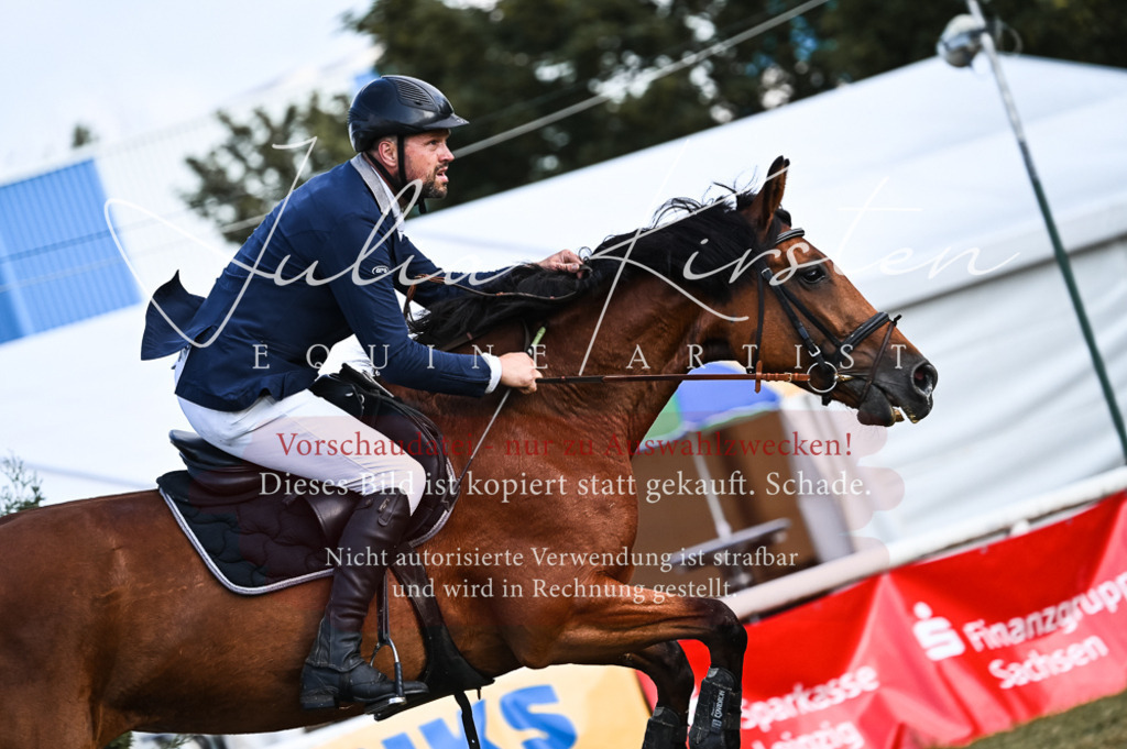 DSC_7606 | Pferde- und Turnierfotografie in Westsachsen. Pferdeportraits, Auftragszeichnungen und intuitive Kunst.