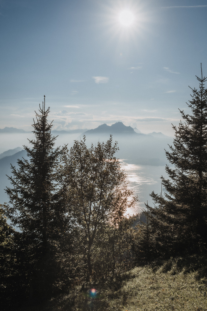 Engagement_Rigi_Nici_Salo-70 | Galerie und Shopsystem von www.emotive-photography.de - Realisiert mit Pictrs.com