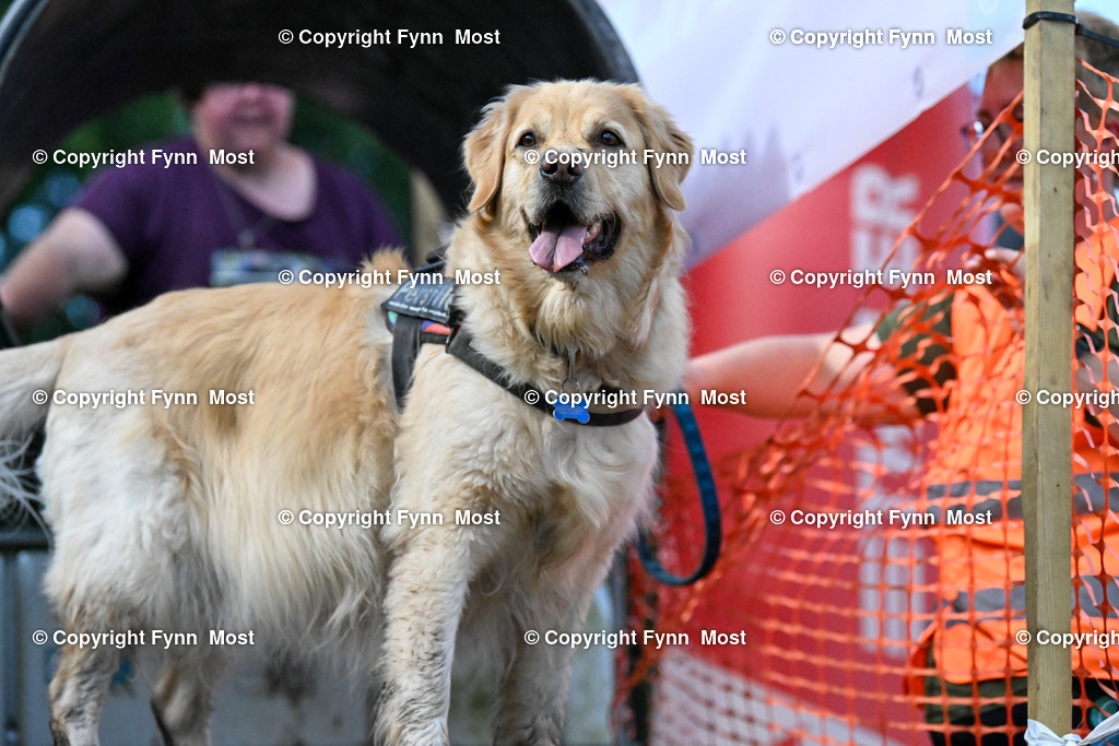 DSC_8422 | Hallo und herzlich Willkommen auf meiner Shop-Seite Fynn Most.

Ich wünsche Dir viel Spaß beim stöbern durch die Bilder, wenn Du Fragen hast oder Bilder vermisst, kannst du mir gerne eine Nachricht schreiben. - Realisiert mit Pictrs.com