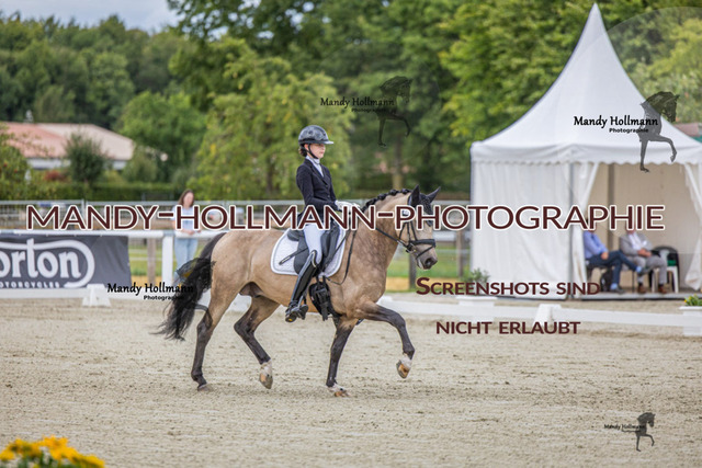 DRE L 6j (543 von 969) | mandyhollmannphotographie