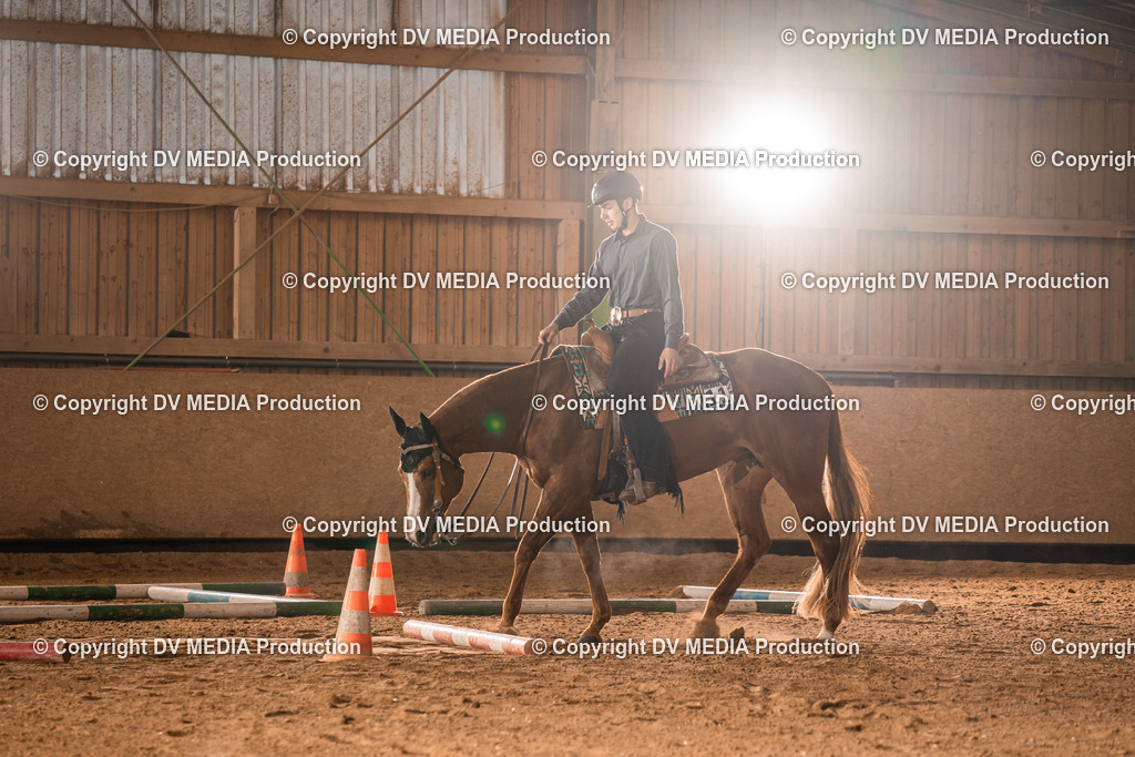 BA400014 | dv-media-shop - Realisiert mit Pictrs.com