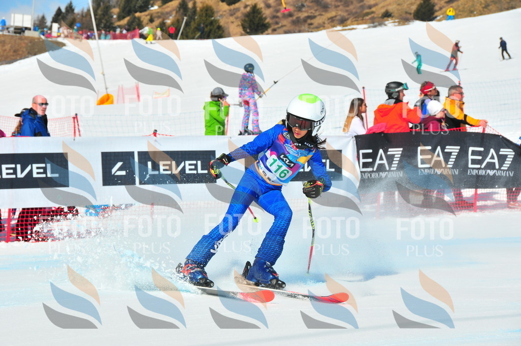 DSC_0901 | holidayphoto