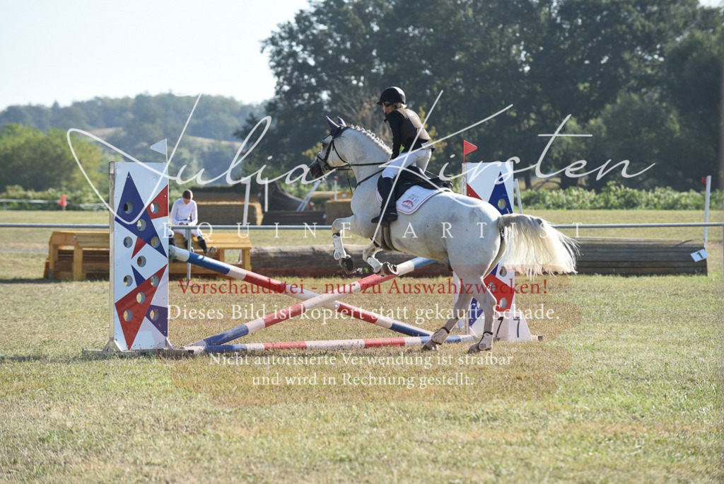 DSC_5726 | Pferde- und Turnierfotografie in Westsachsen. Pferdeportraits, Auftragszeichnungen und intuitive Kunst.