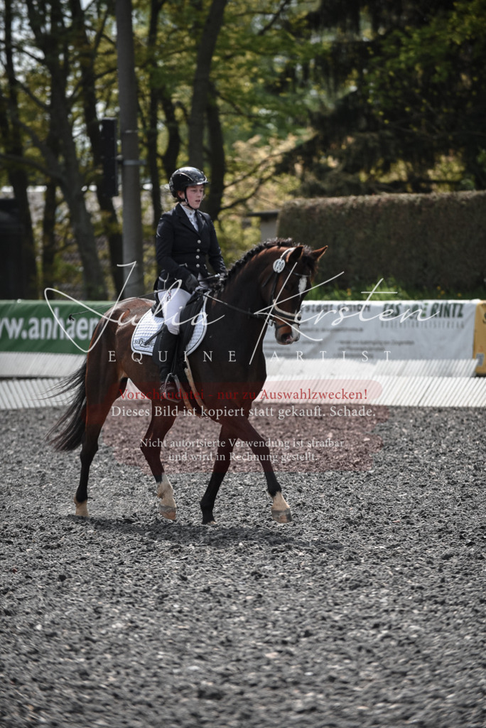 20230513_JK-Röhrsdorf-14-947 | Pferde- und Turnierfotografie in Westsachsen. Pferdeportraits, Auftragszeichnungen und intuitive Kunst.