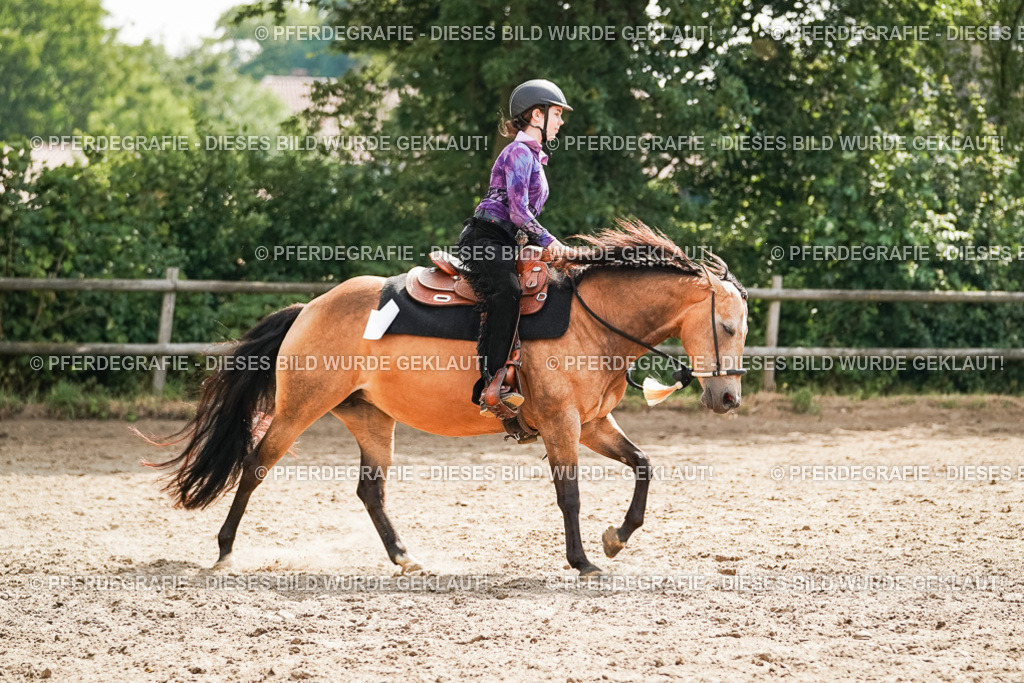 DSC04937 | Pferdegrafie