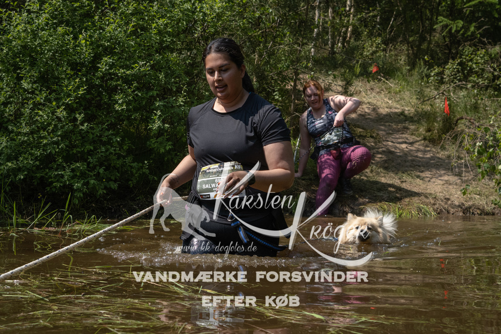 1414DKK990149 | kk-dogfotos