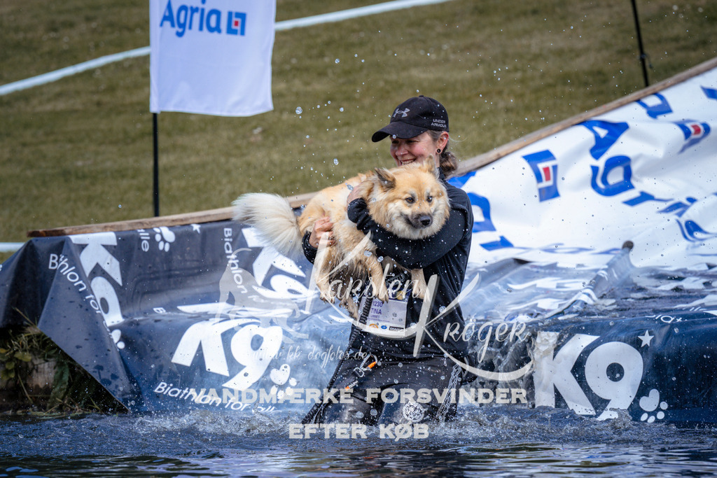 _ZZ929420935 | kk-dogfotos