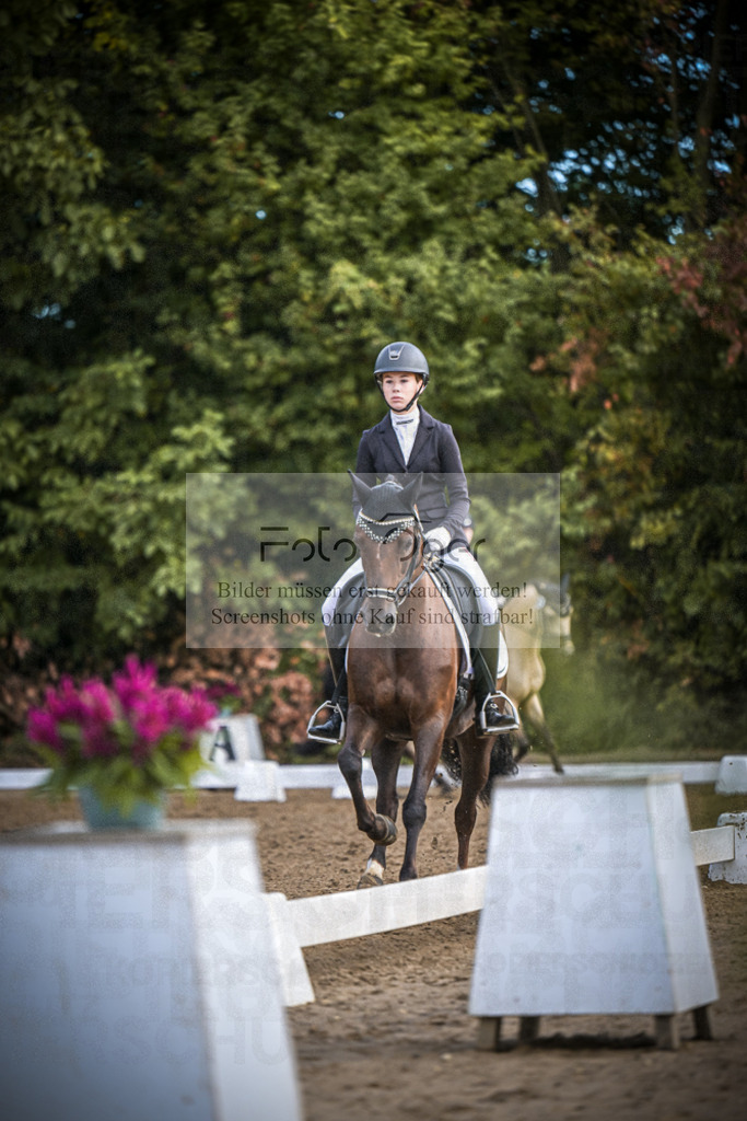 DOS_2372 | Entdecke hochwertige Reitturnierfotos von Foto Oger. Professionell, emotional und authentisch – jetzt Lieblingsmomente im Shop bestellen.Deutschlandweite Turnierfotografie. - Realisiert mit Pictrs.com