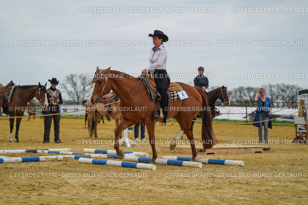 DSC02596 | Pferdegrafie