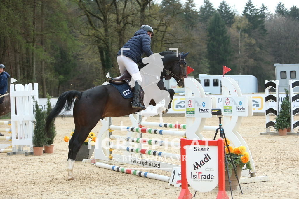 DL2Q2161 | Willkommen bei Brunnmayr - Design & Fotografie – Ihrem Spezialisten für Reitturniere und Pferdeveranstaltungen in Oberösterreich, Salzburg und Bayern! Seit über 17 Jahren sind wir leidenschaftlich dabei.