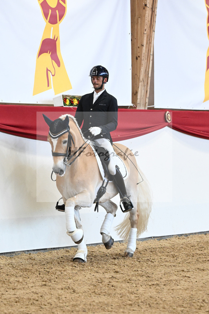 Schauprogramm Haflinger_DSP Amiro_2251535 | hf-fotografie - Realisiert mit Pictrs.com