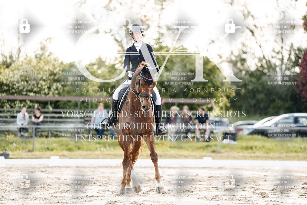 CK909741 | Turnierfotografie Pferdefotografie Trier Rheinland-Pfalz Pferdesport Reitsport Tierfotografie Sportfotografie Pferdevideo Pferdevideografie Equestrianvideography equestrianphotography  - Realisiert mit Pictrs.com