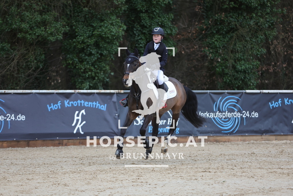 0P6A4204 | Willkommen bei Brunnmayr - Design & Fotografie – Ihrem Spezialisten für Reitturniere und Pferdeveranstaltungen in Oberösterreich, Salzburg und Bayern! Seit über 17 Jahren sind wir leidenschaftlich dabei.