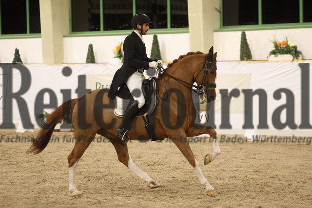 Gut Ising_2023_Prfg.Nr.02_GrandPrix-Kür_Ferdinand Csaki_Dwayn (4) | Alle Fotos der Reiterjournal Fotografin Doris Matthaes im Reiterjournal Online-Fotoshop. - Realizado com Pictrs.com