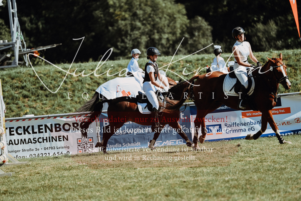 DSC_6992 | Pferde- und Turnierfotografie in Westsachsen. Pferdeportraits, Auftragszeichnungen und intuitive Kunst.