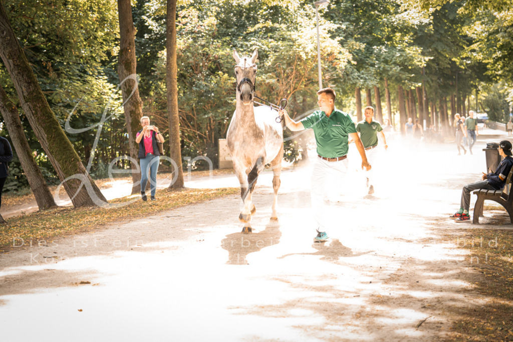 FrPfM00176 | Leoni Ertmer Photography - Realisiert mit Pictrs.com