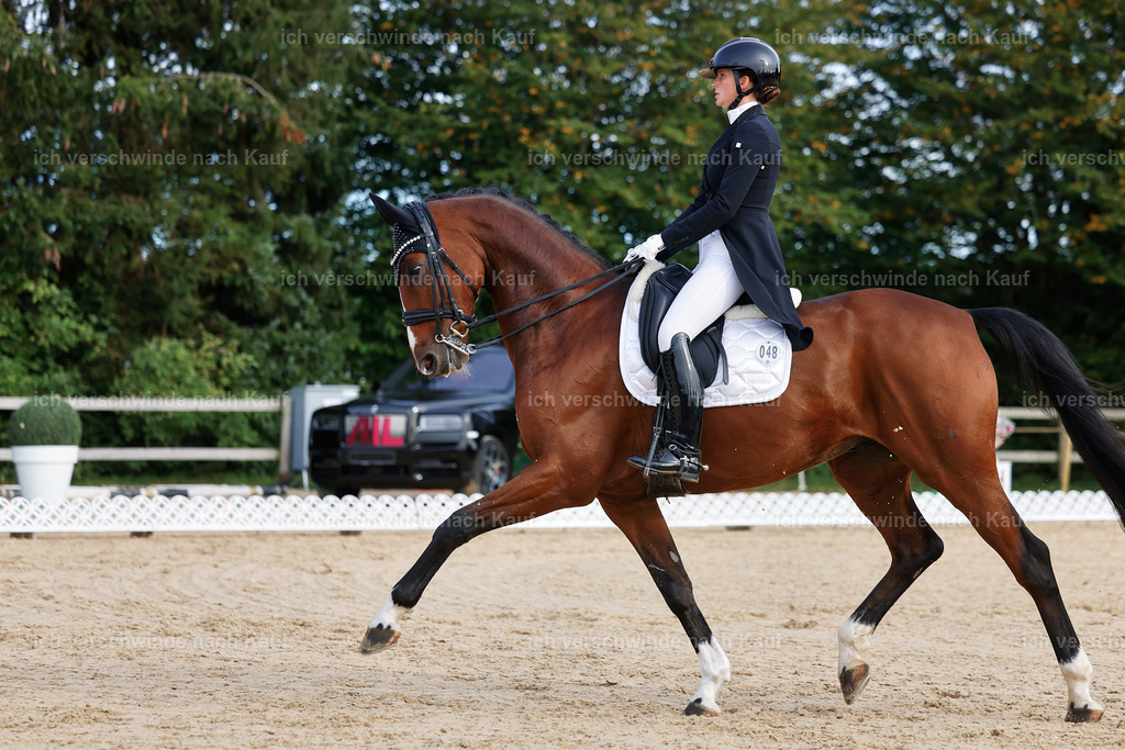 13-048-S___ -StoibPH-6967 | working equitationturnier fotograf videograf stoibphotography marixx film working equitation deutschland reitsport turnierfotografie eventfotografie equestrian events