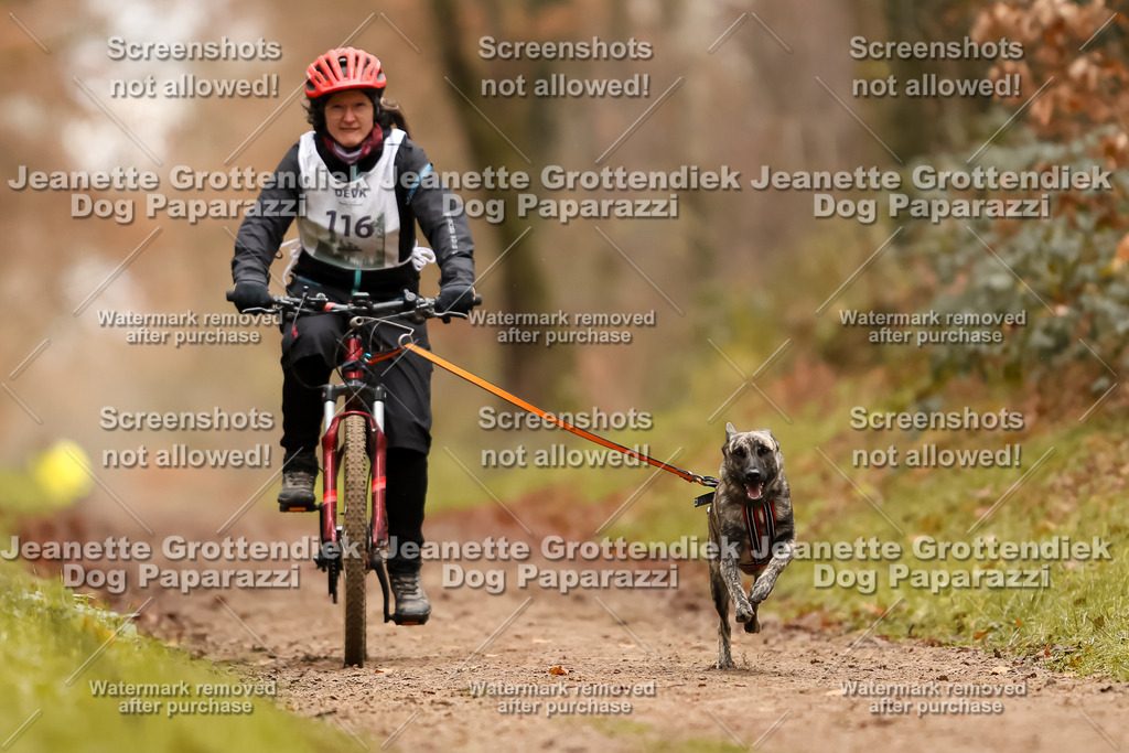 Dog Paparazzi - Speedhunter Mannheim  2025-319 | Dog Paparazzi Jeanette Grottendiek Fotografie & Videografie