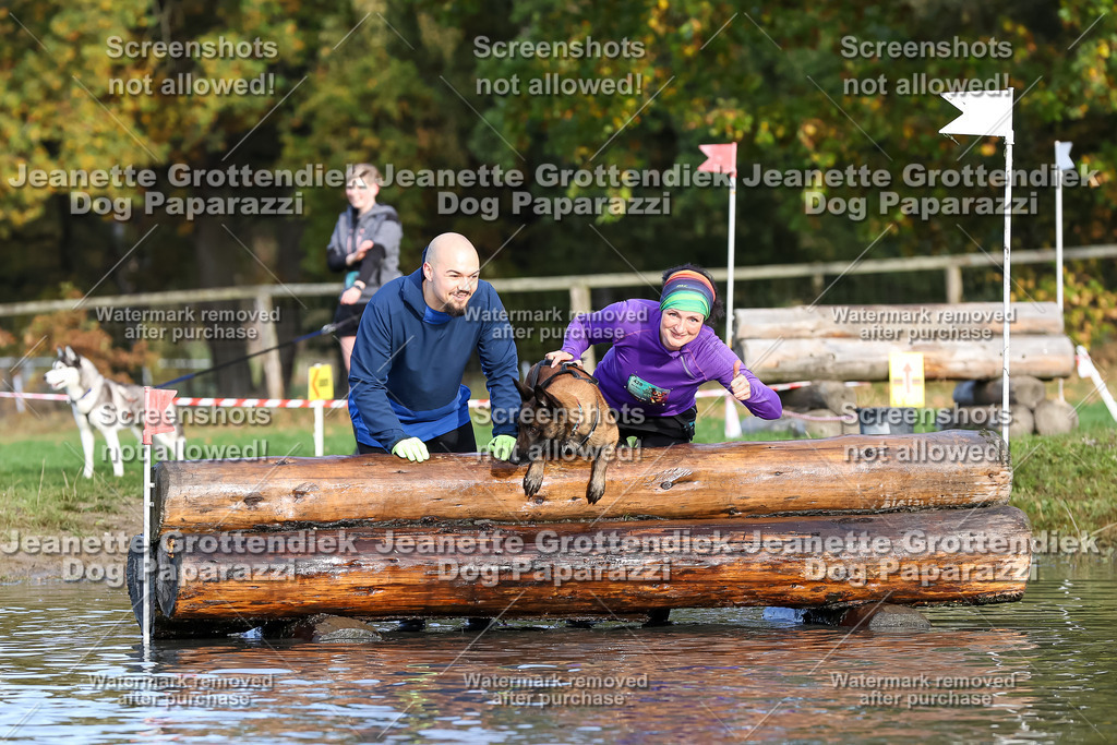 Dog Paparazzi - Strongdog 10-25-8339 | Dog Paparazzi Jeanette Grottendiek Fotografie & Videografie - Realisiert mit Pictrs.com