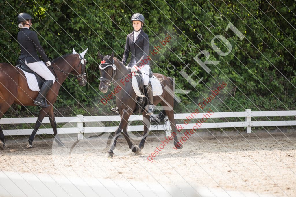 IMG_3655 | Sport-, Event- und Tierfotos in Profiqualität. Einfach auswählen, bestellen und herunterladen. Dein Moment – perfekt festgehalten.