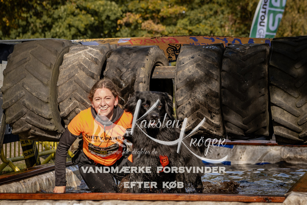 1301_ZZ91665 | kk-dogfotos