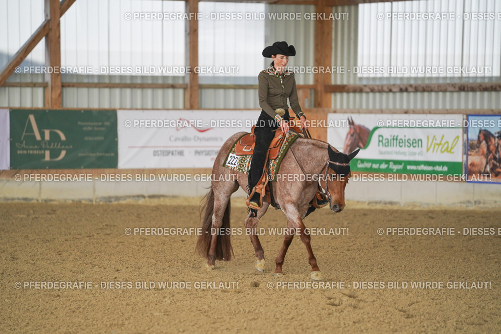 DSC09219 | Pferdegrafie