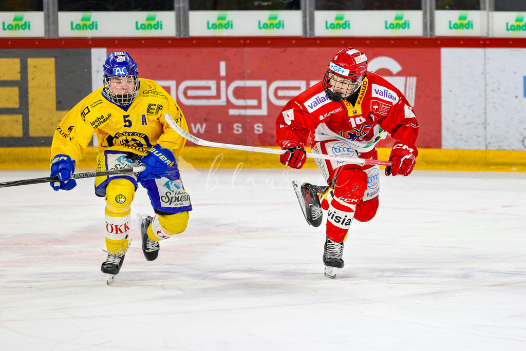 EHCB vs HCD-0585 | Sportbilder, Sportfotograf, Hochzeits- und Eventfotografin, Flugshows, Portraits und Tiershooting, Aviation, Downhill, Nationalleague, Swissleague, International